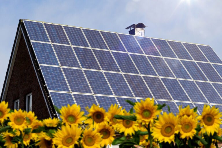 Is Solar Backup A Good Option In Zip Code 30301?