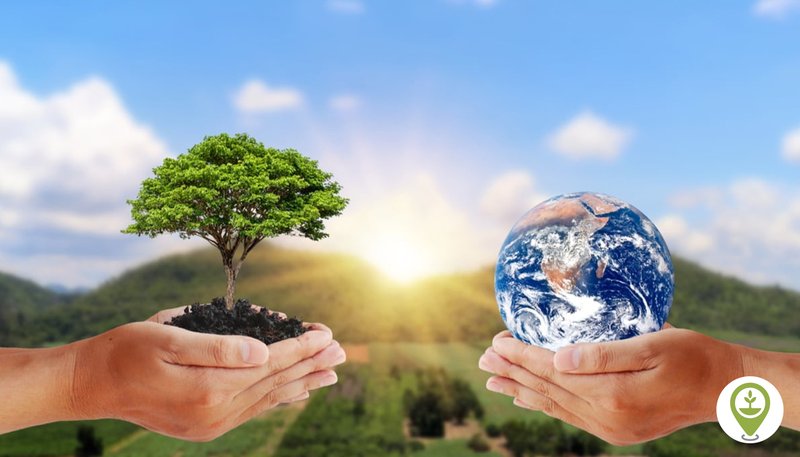 How To Protect Appliances From Power Surges In Zip Code 37201