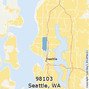 What Causes Frequent Power Outages In Zip Code 98103?
