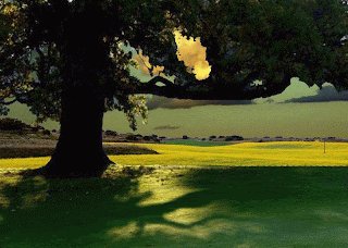 What To Do During A Power Outage In Zip Code 37203